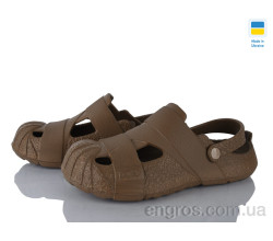 Кроксы Golden Lion